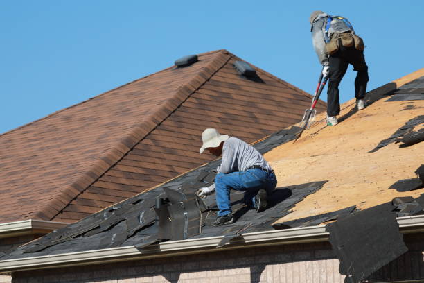 Fast & Reliable Emergency Roof Repairs in Brandon, FL